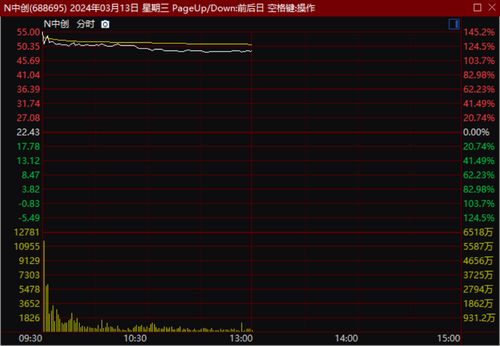 個(gè)股異動(dòng)觀察 基礎(chǔ)軟件服務(wù)板塊個(gè)股僅成交10萬余元拉升超20%漲幅